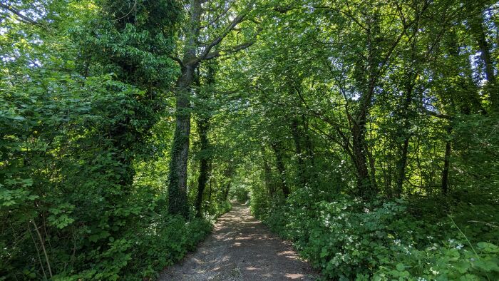 Arboretum Brienne 2023 ©A. LOISON (71).jpg OT Grands Lacs de Champagne - A. Loison