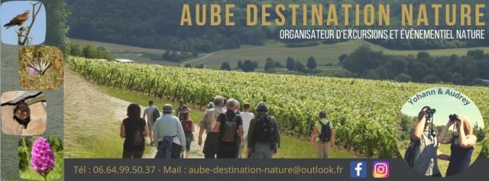 Aube destination nature.jpg Aube destination nature