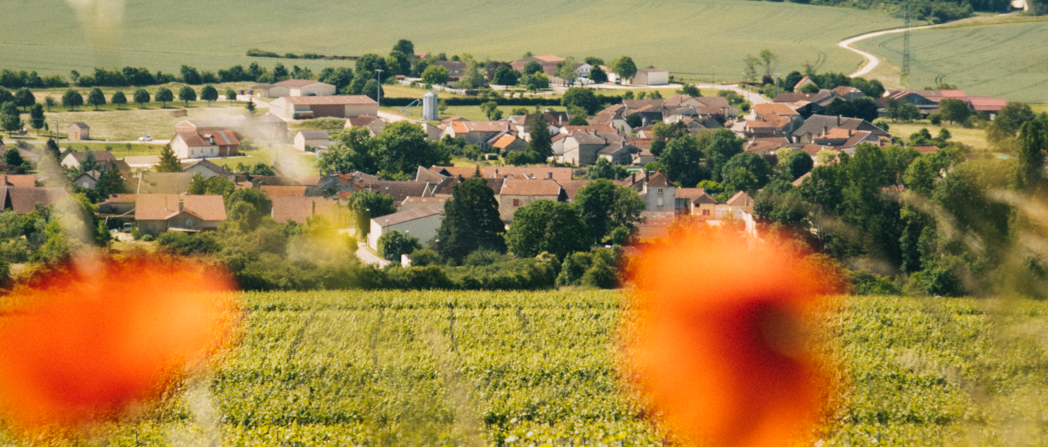 Route touristique du Champagne Route touristique du Champagne