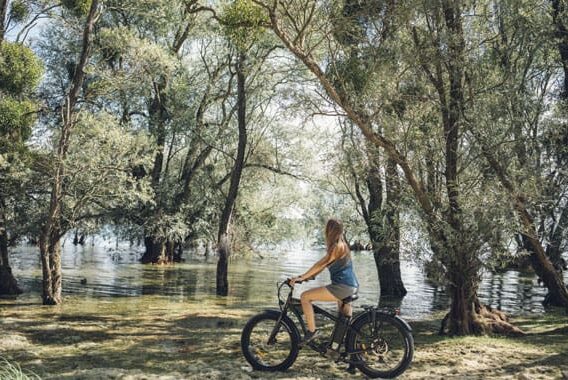 Vélo-sur-la-voie-verte-des-grands-lacs-Seine-et-Aube---©-Clara-Ferrand Vélo-sur-la-voie-verte-des-grands-lacs-Seine-et-Aube---©-Clara-Ferrand