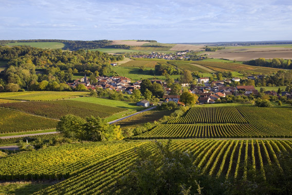 Vendanges-Barfontarc villages Champagne