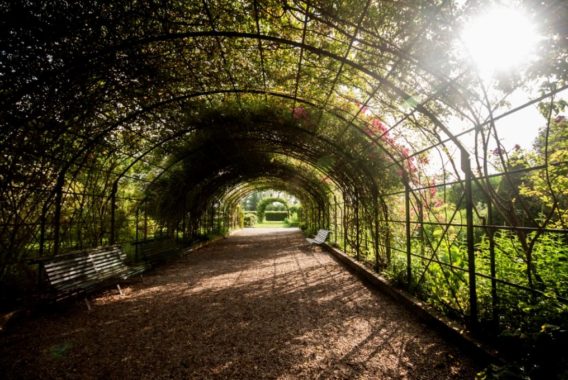 Picnic in the parks and gardens of Aube © A. M. Barruecos Picnic in the parks and gardens ofthe Aube © A. M. Barruecos
