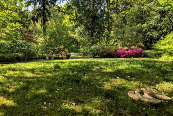 Take a bite out of the Aube by the edge of the Great Lakes of Champagne! Picnic at the Arboretum of Brienne-le-Château