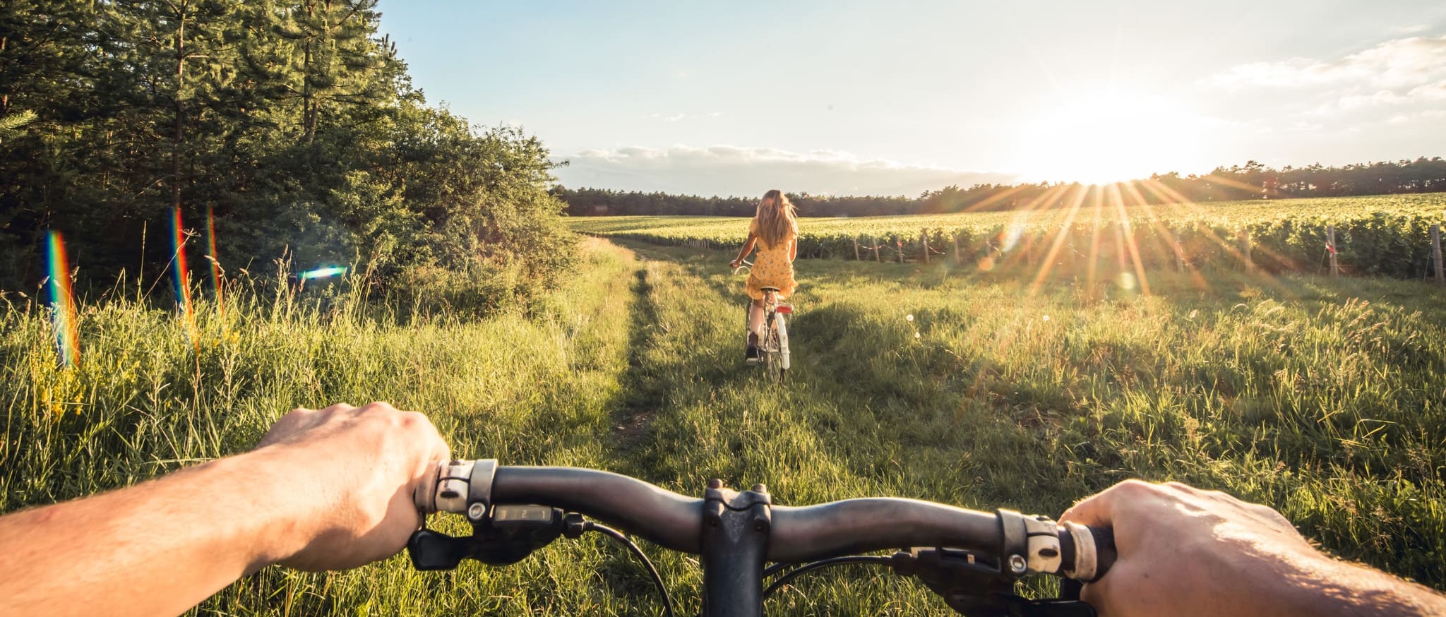 Vélo dans les vignes - crédit Le Bonheur des gens (1) Vélo dans les vignes - crédit Le Bonheur des gens (1)