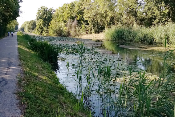 Voie-verte-canal-Haute-Seine---crédit-CDT-Aube-1 Voie-verte-canal-Haute-Seine---crédit-CDT-Aube-1