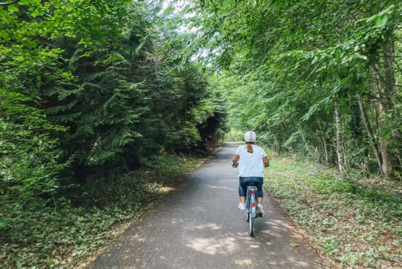 Foret Vélo en forêt
