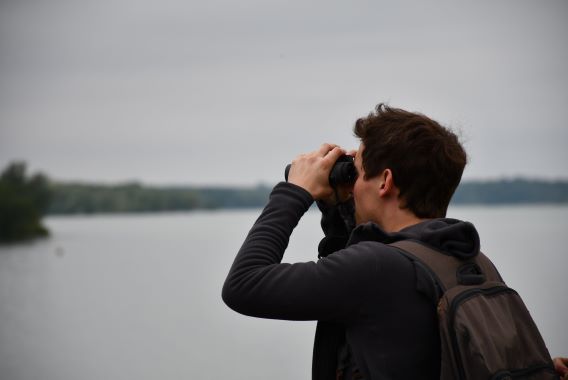 Ornitho - Crédit photo PNRFO Observation oiseaux