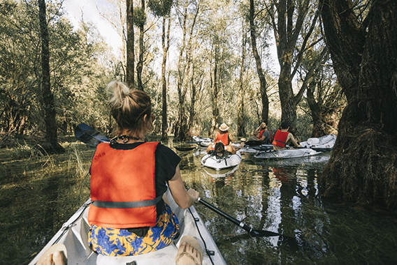 Kayak immersed forest credit clara ferrand-wildroad Kayak immersed forest credit clara ferrand-wildroad