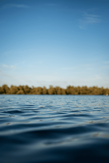 Lac d'Orient 2 - © François Piccione @bobinemagazine Lac d'Orient 2 - © François Piccione @bobinemagazine