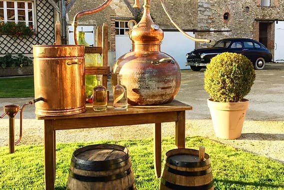 Distillerie MD Distillerie MD