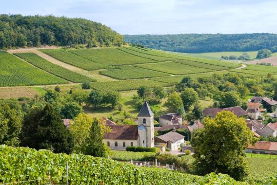 Bergères Bergères